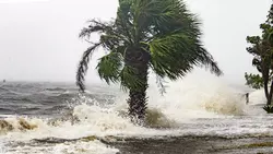 Ouragan KBO