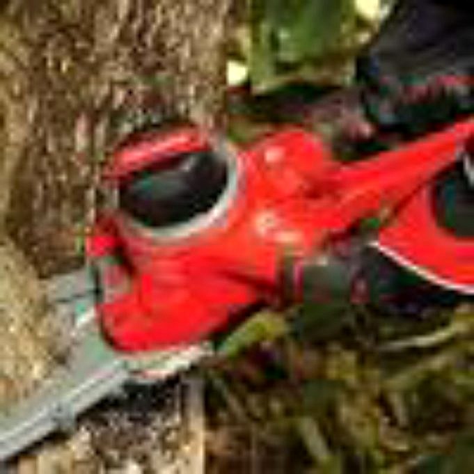 These Are The 3 Best Chainsaws Below 200